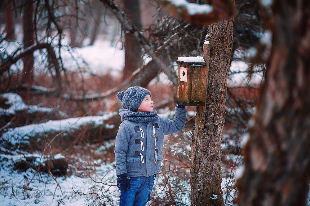 Покормите птичек зимой!