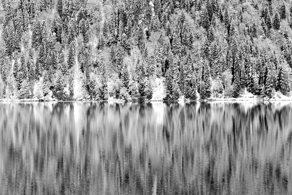 Зеркальная симметрия