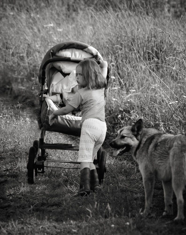 Сердитая помошница