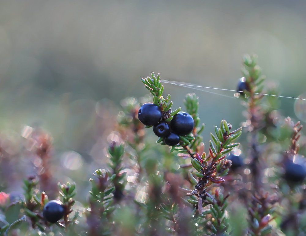 Сопротивление