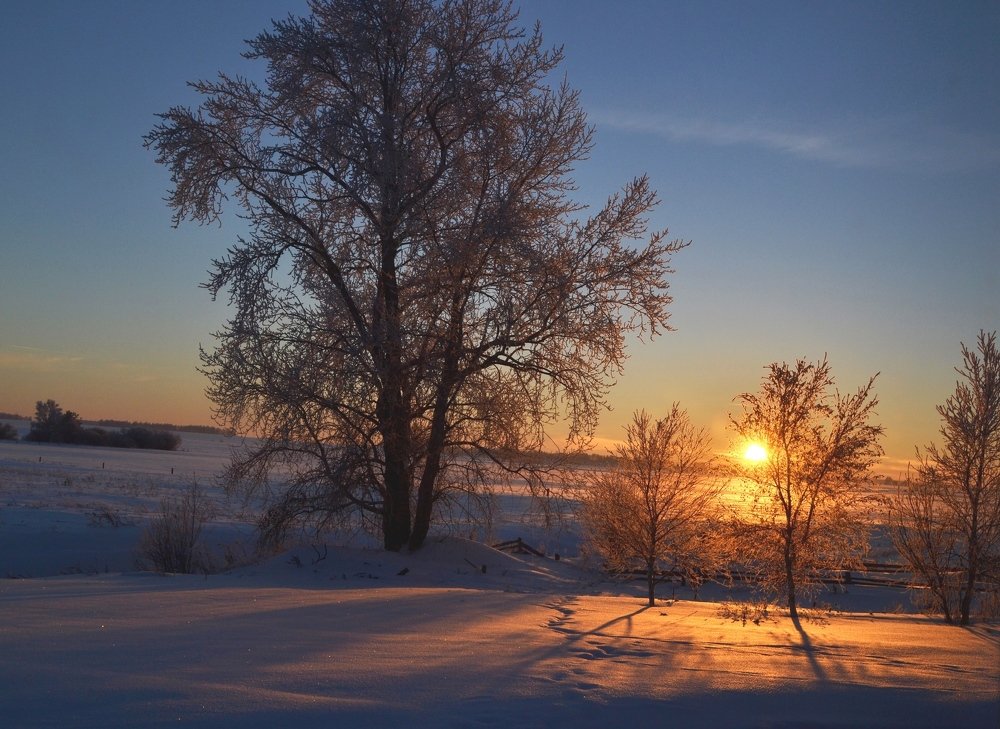 Вечер в деревне