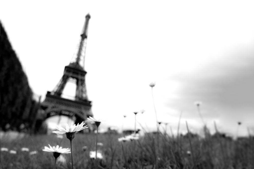 Parisian beauty