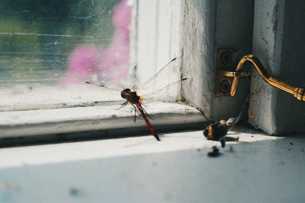 Photograph by Мария Безлепкина
