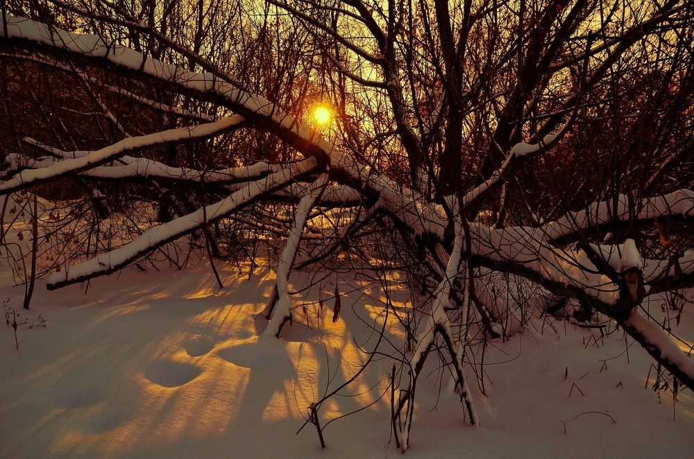 Первый солнечный день