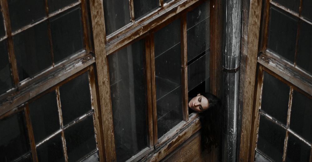 Отчаянный дом-65/