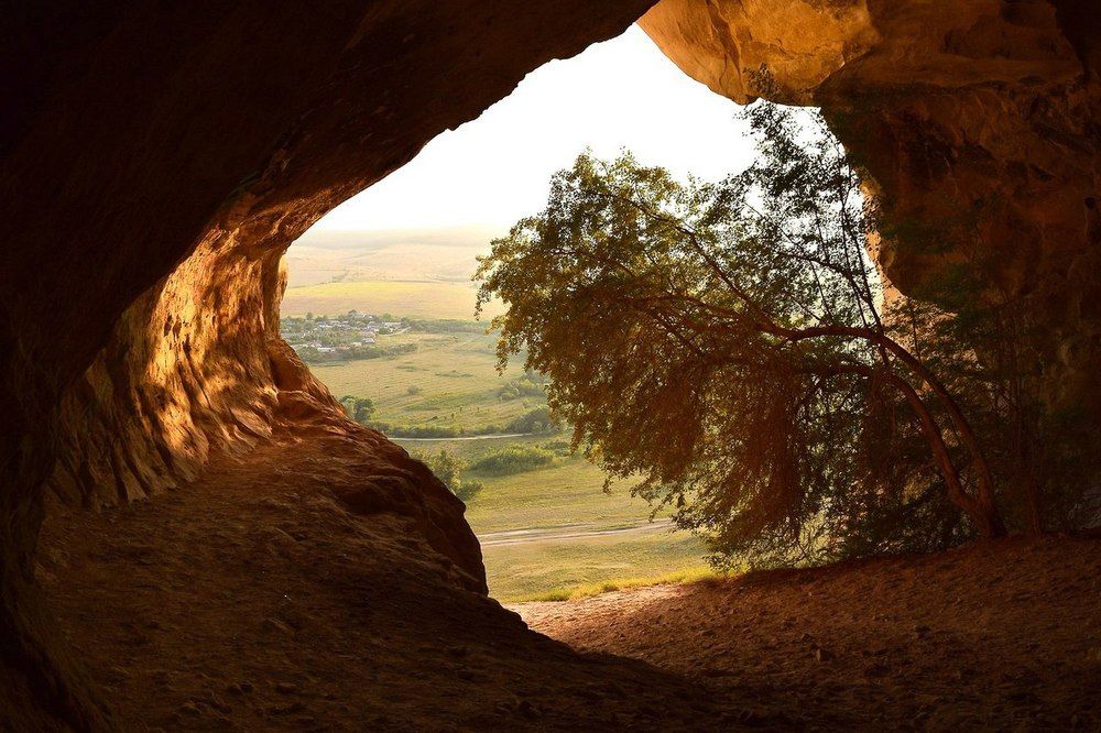 Глоток света