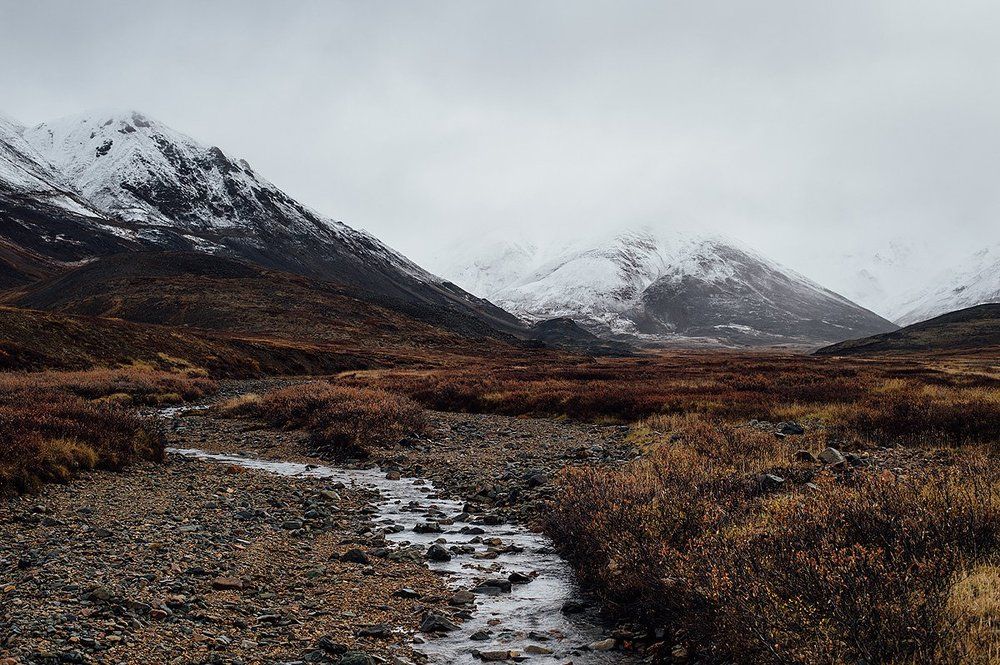 Холодная осень