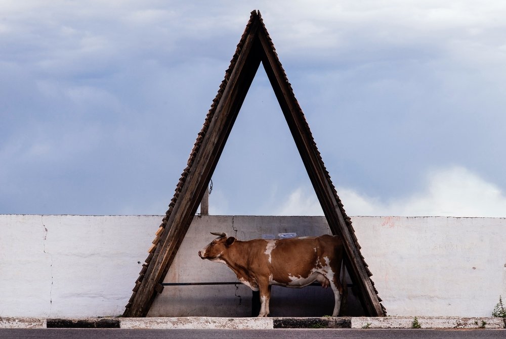 До Аршана доеду?