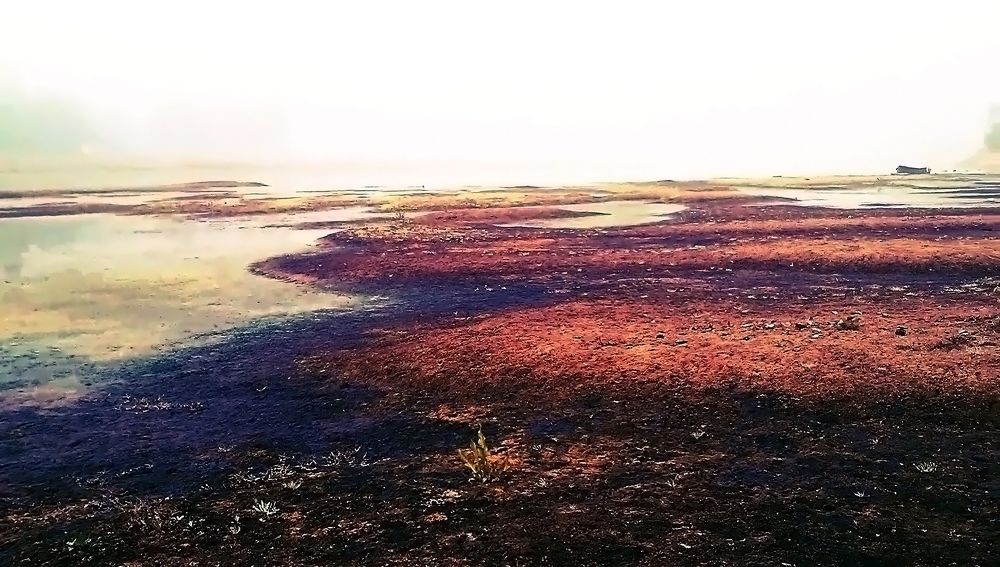 WInter Morning on a River and it's rotten bank