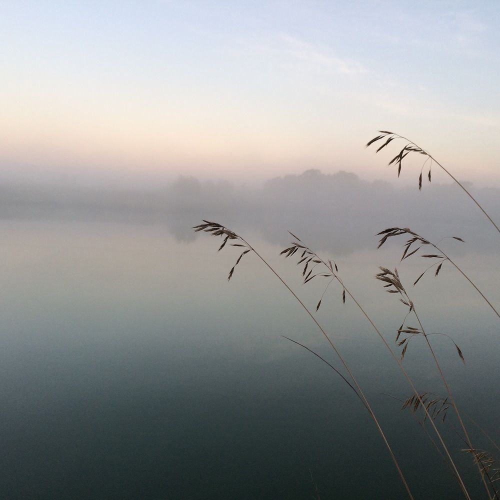 Утро на озере