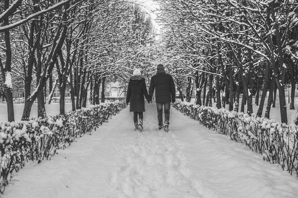 Зимняя прогулка