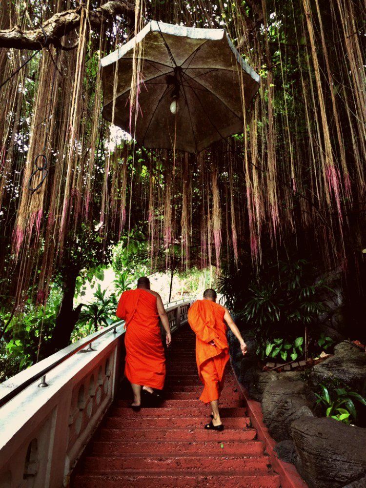 На пути к просветлению