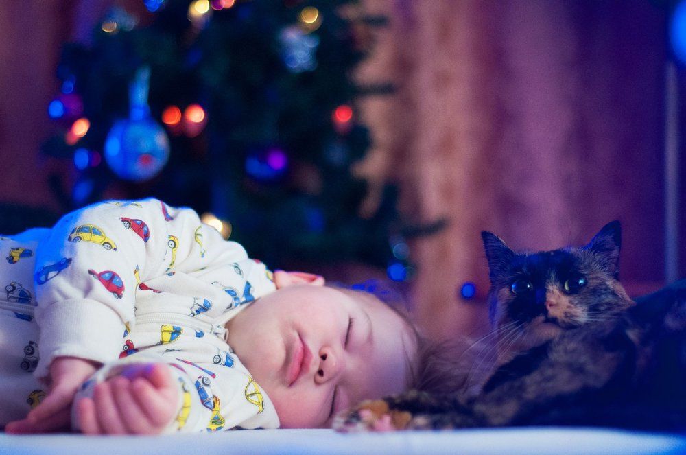 Под ёлочкой