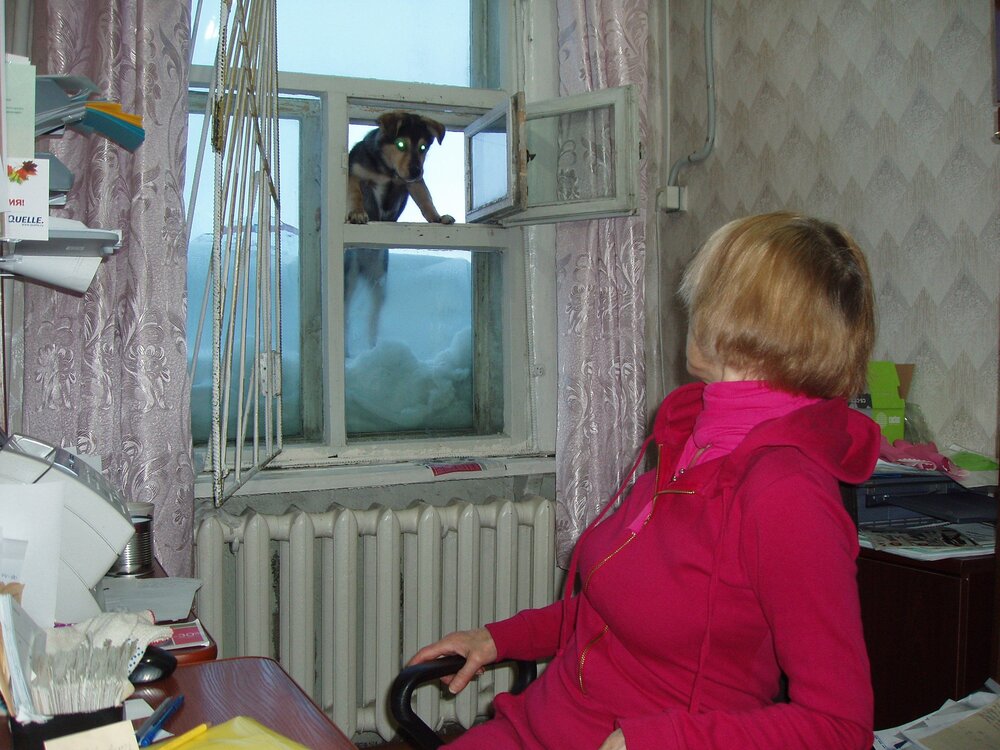 ХОЧУ!