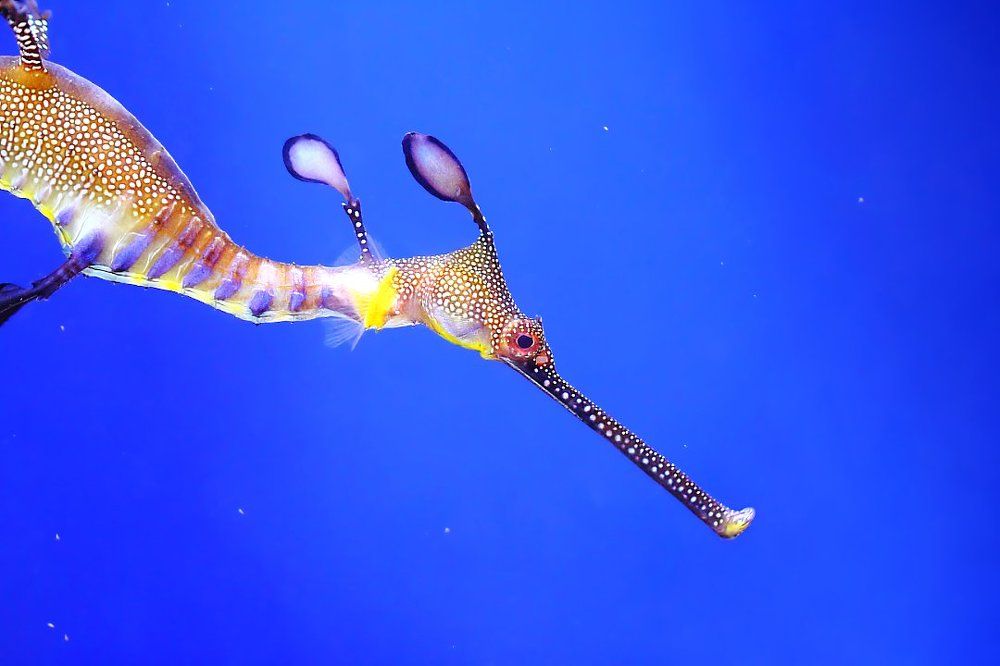 А мне летааать охота!...