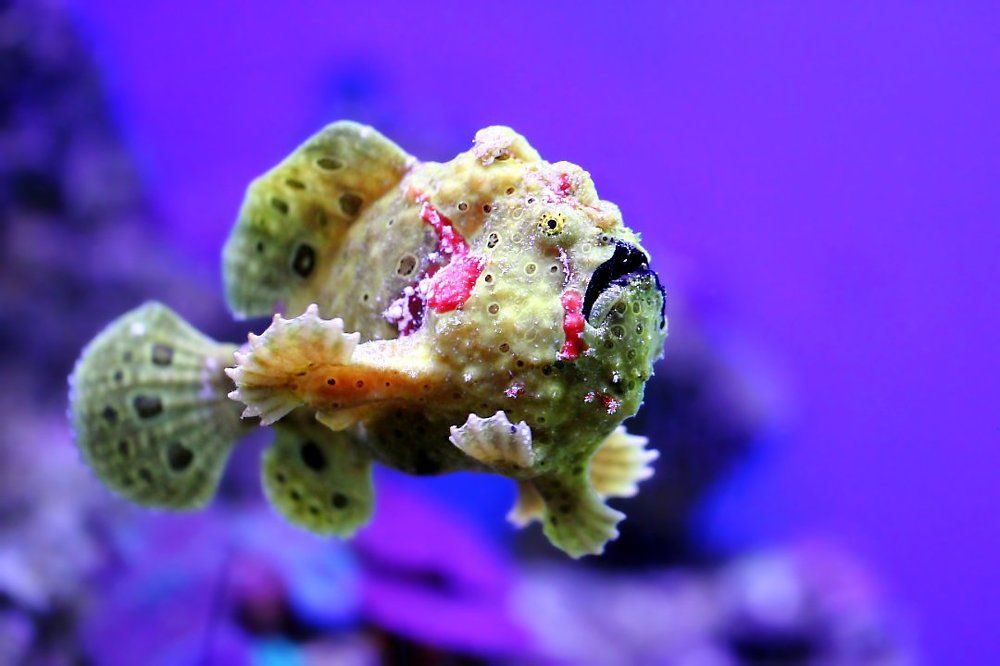 Вот это макияж!...