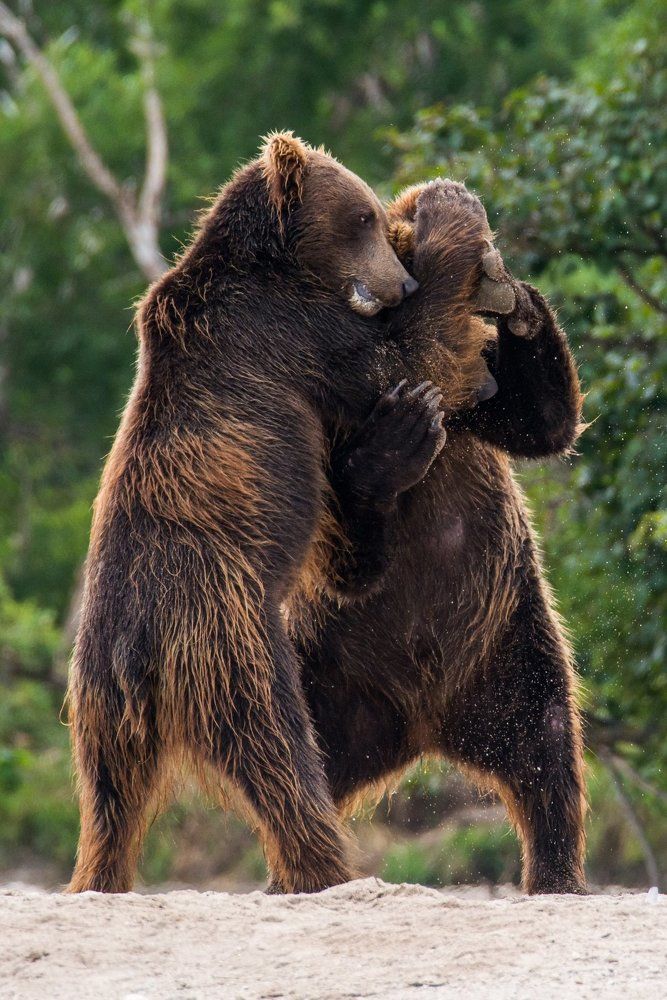 "Угадай, кто?"
