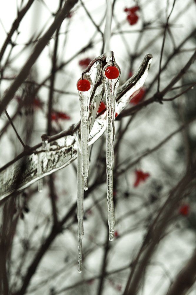 Photograph by Светлана Борисова
