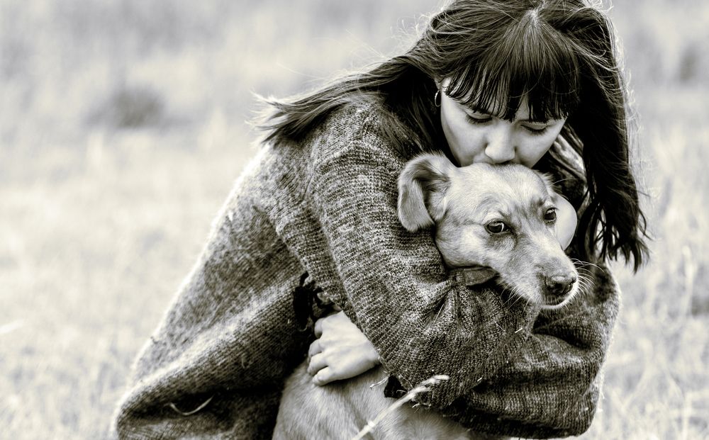 История любви, дружбы, преданности