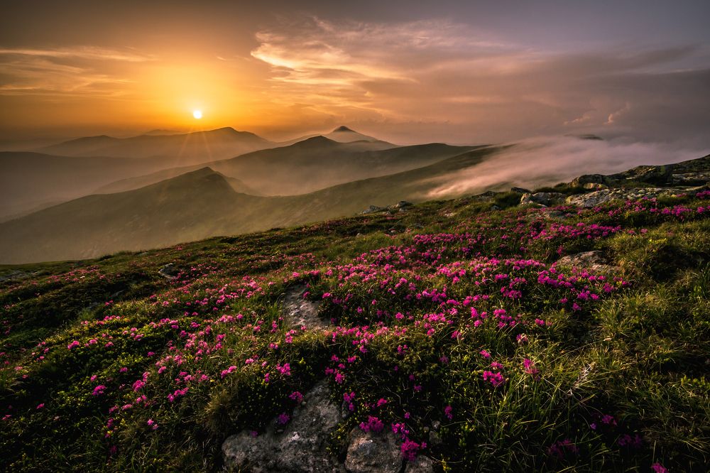 Photograph by Игорь Петрущенков