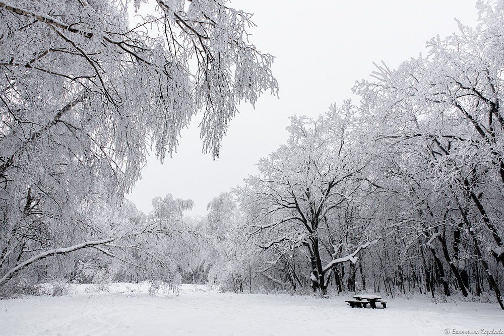 Время года - зима...