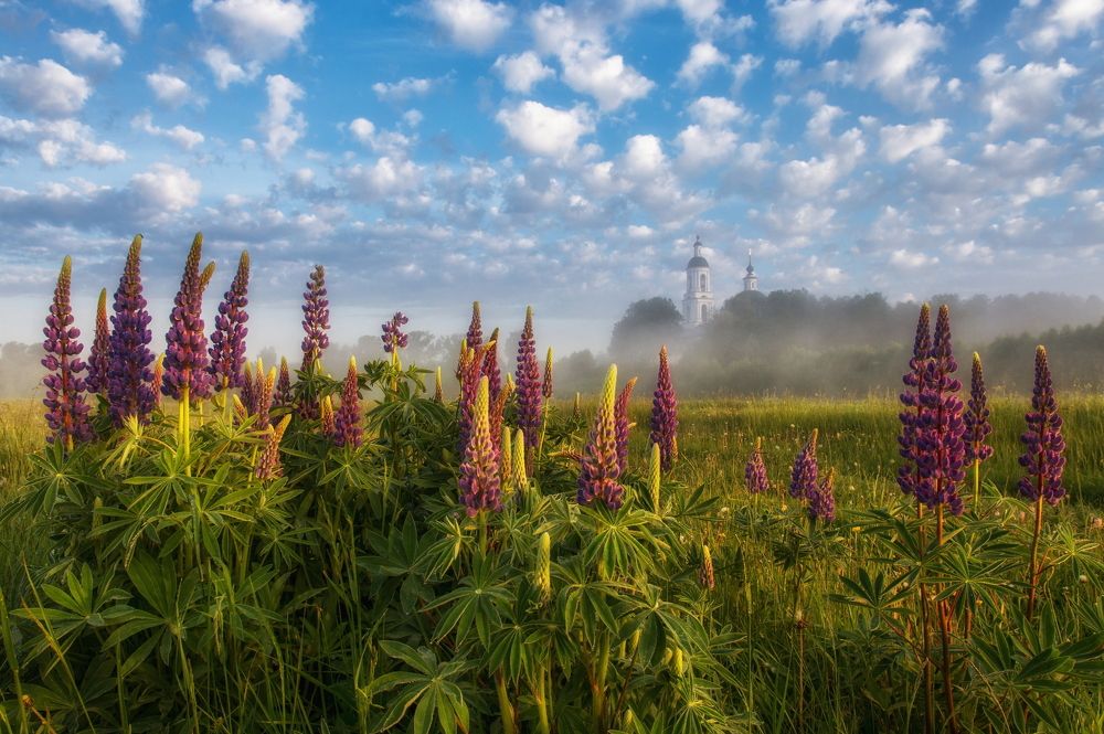 Лето в Филипповском