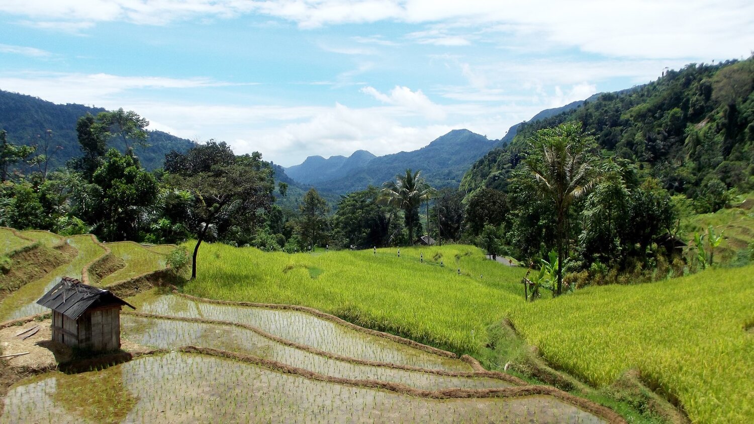 Tanah Airku Indonesia