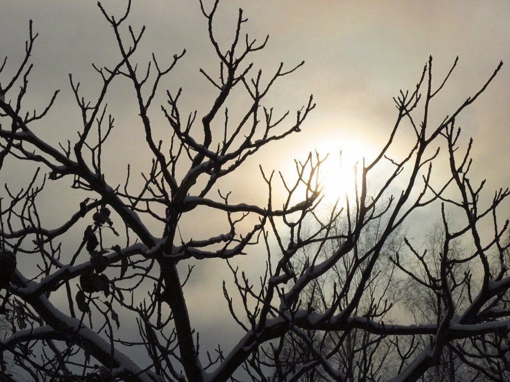 холодное дыхание