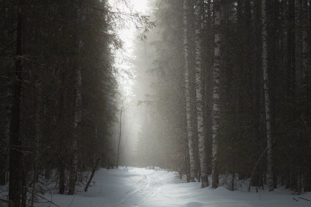 Солнце и снег