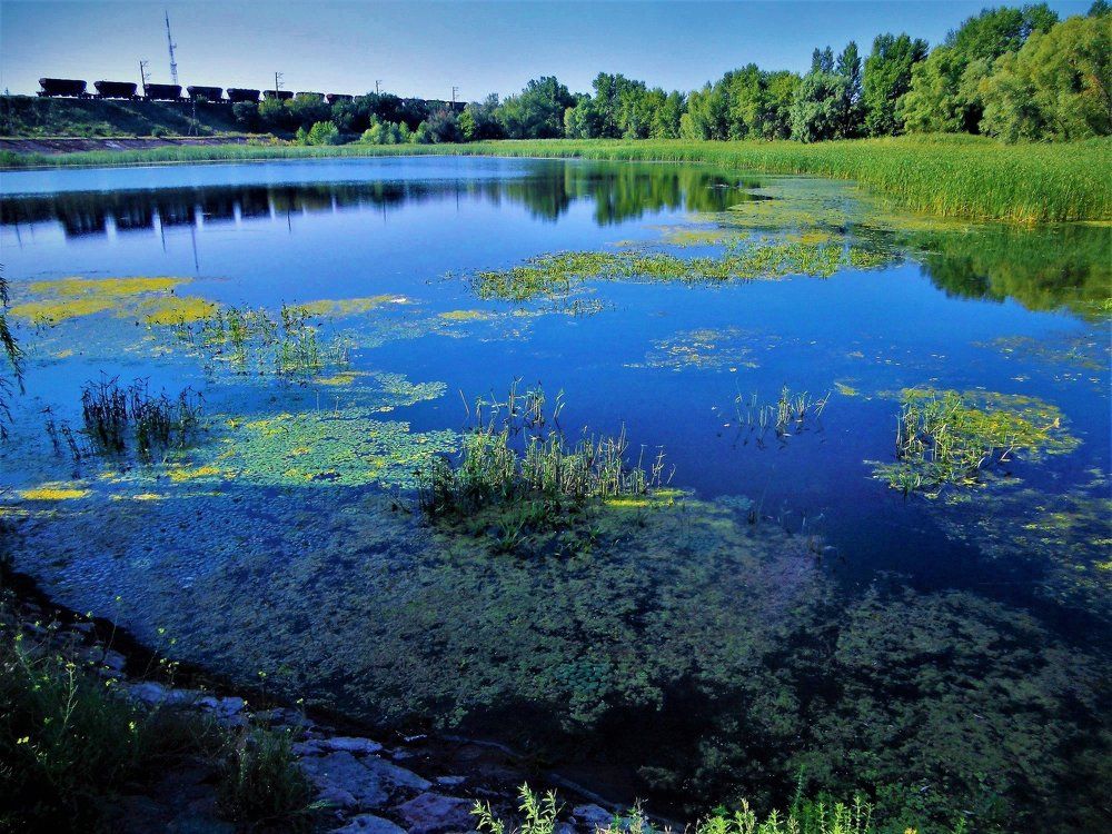 Голубая музыка весны.