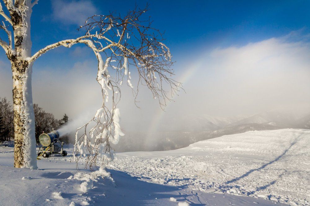 Снежный выстрел
