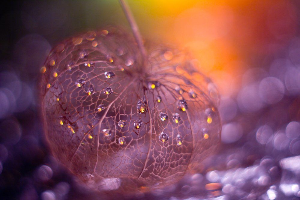 Волшебный фонарик