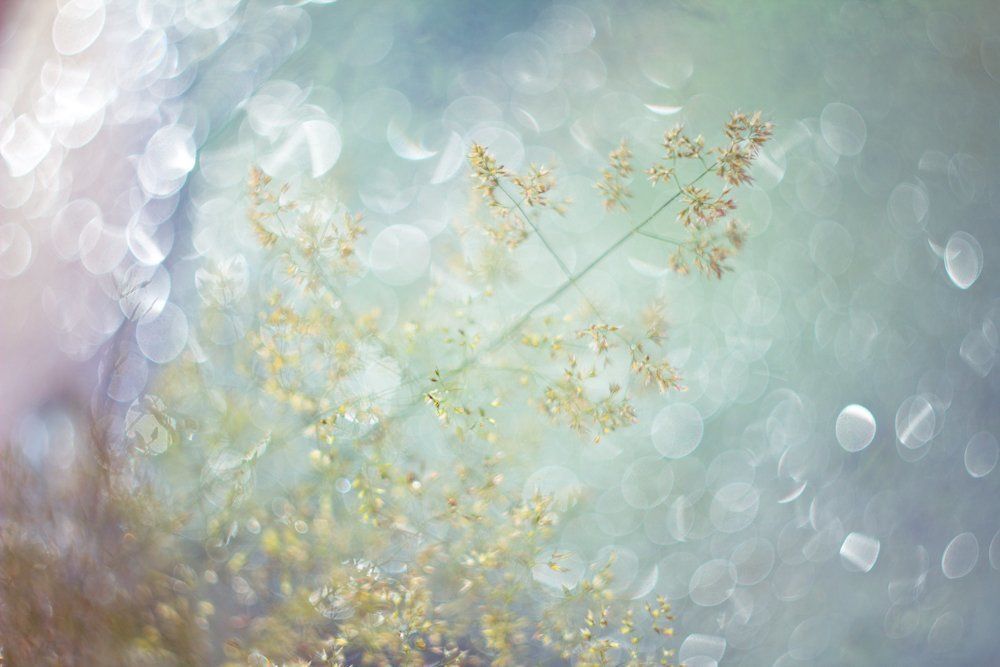 Летние мотивы