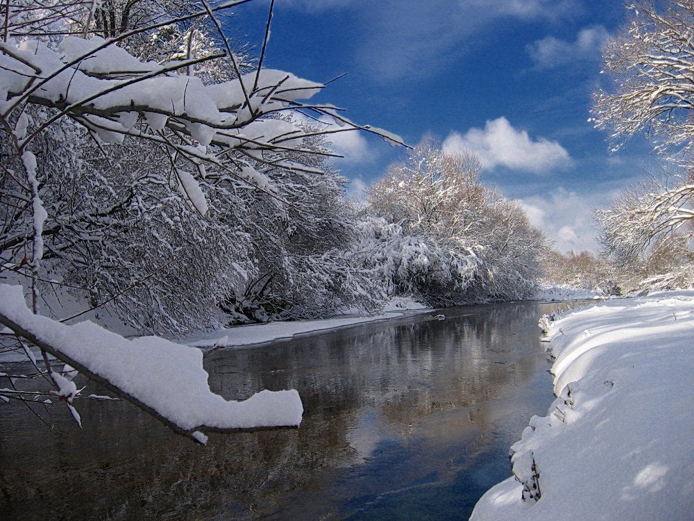 Photograph by Светлана