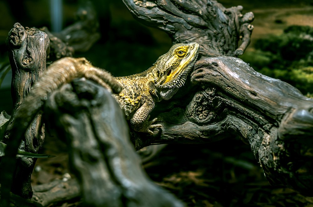 Photograph by Демьян Лопатов