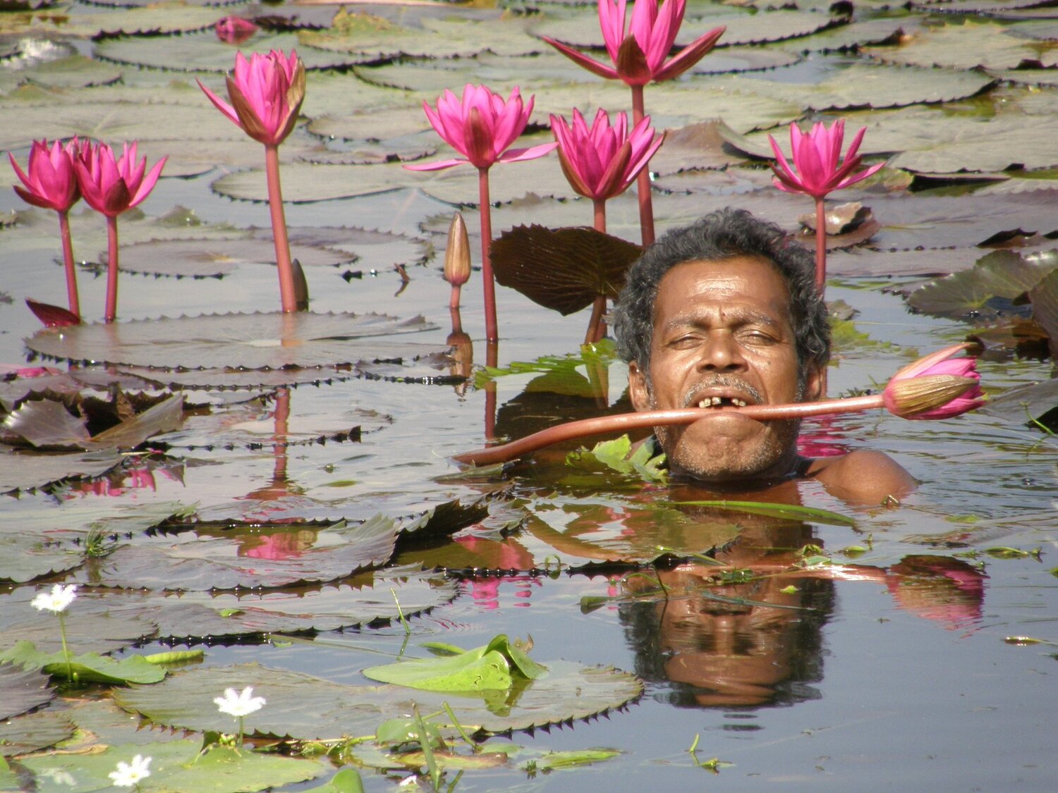 Floting lover