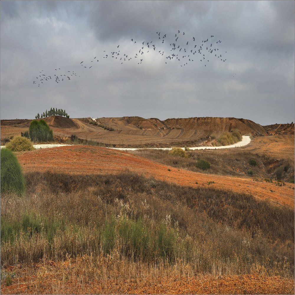 -дыханье осени-