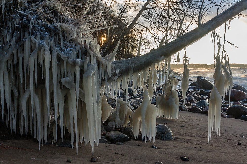 БАЛТИЙСКИЙ БЕРЕГ