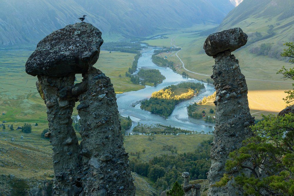 Кедровка или первый свет в долине Чулышмана
