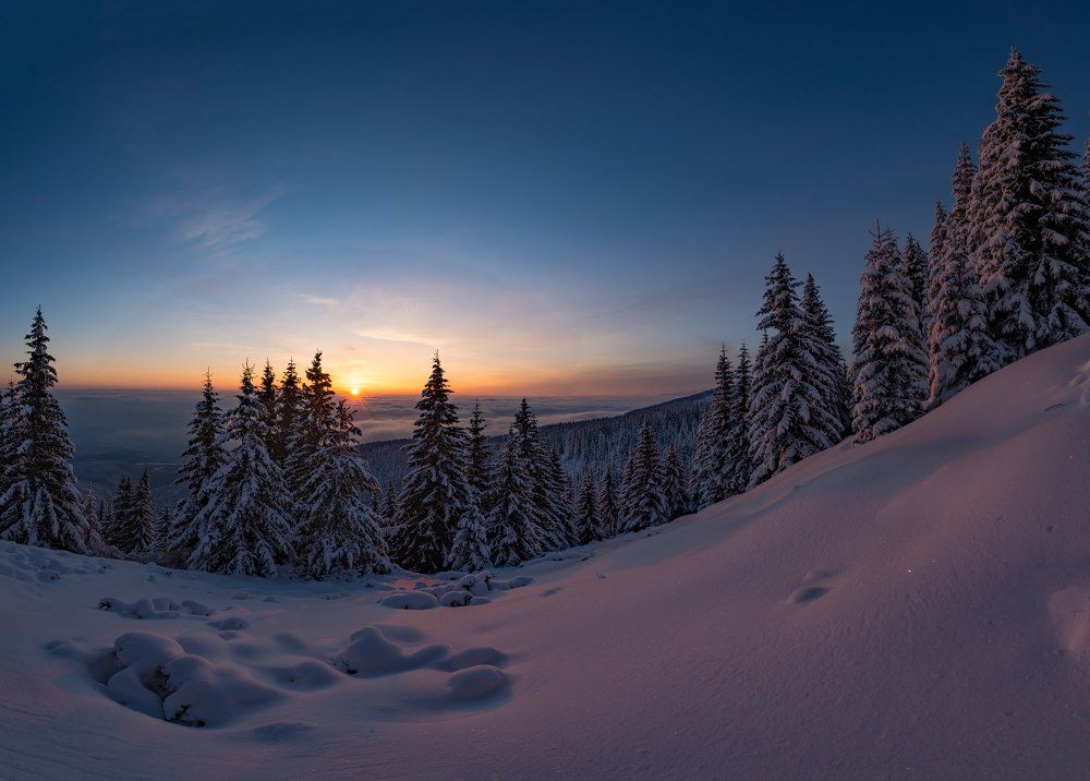 Зимное утро