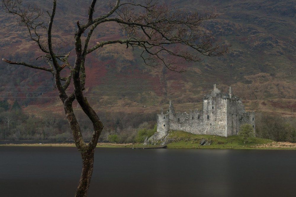 Этюд с деревом и замком Килхурн