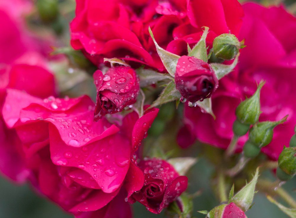 Фотография автора Anna