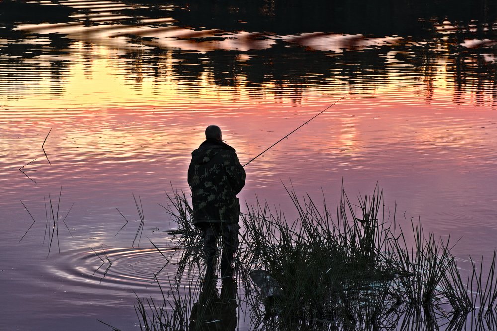 На вечерней зорьке.