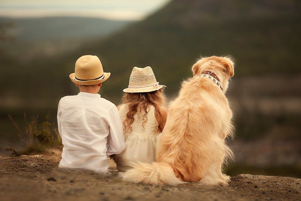 Друзья-мечтатели