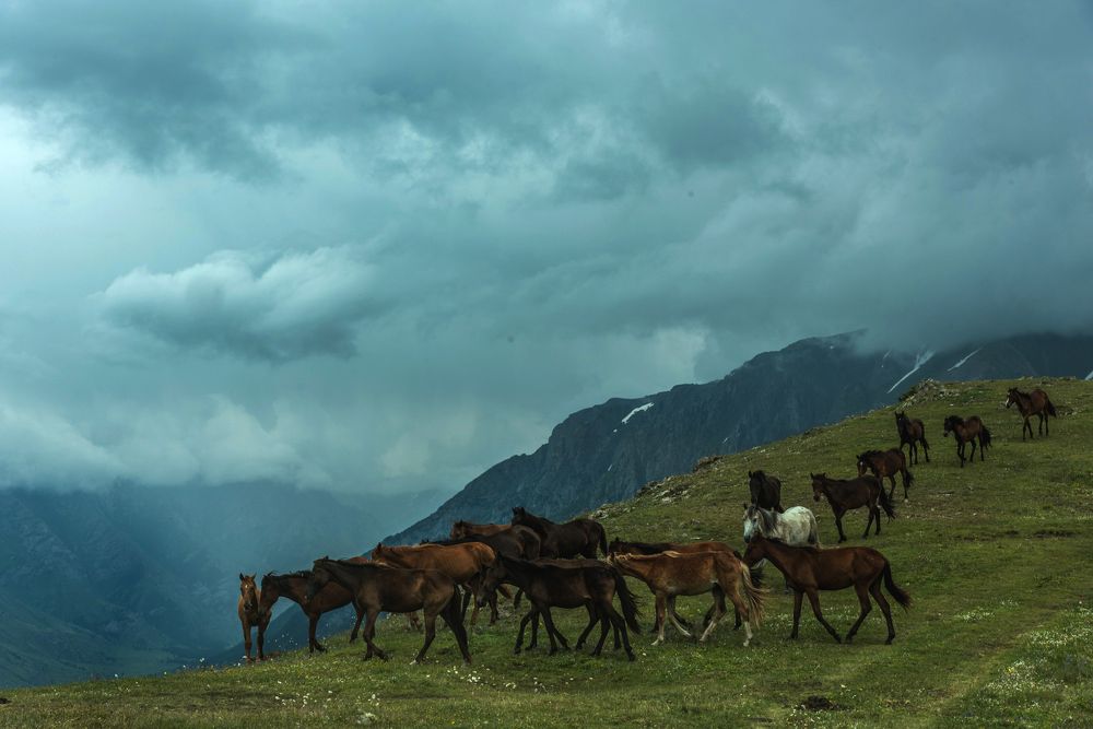 На краю земли