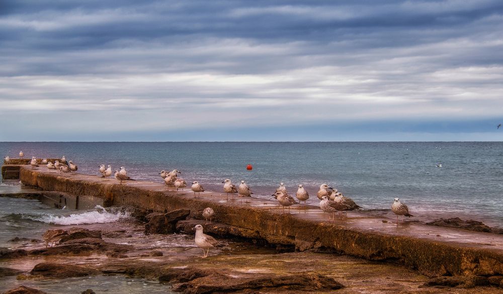 ZASJEDANJE PARLAMENTA