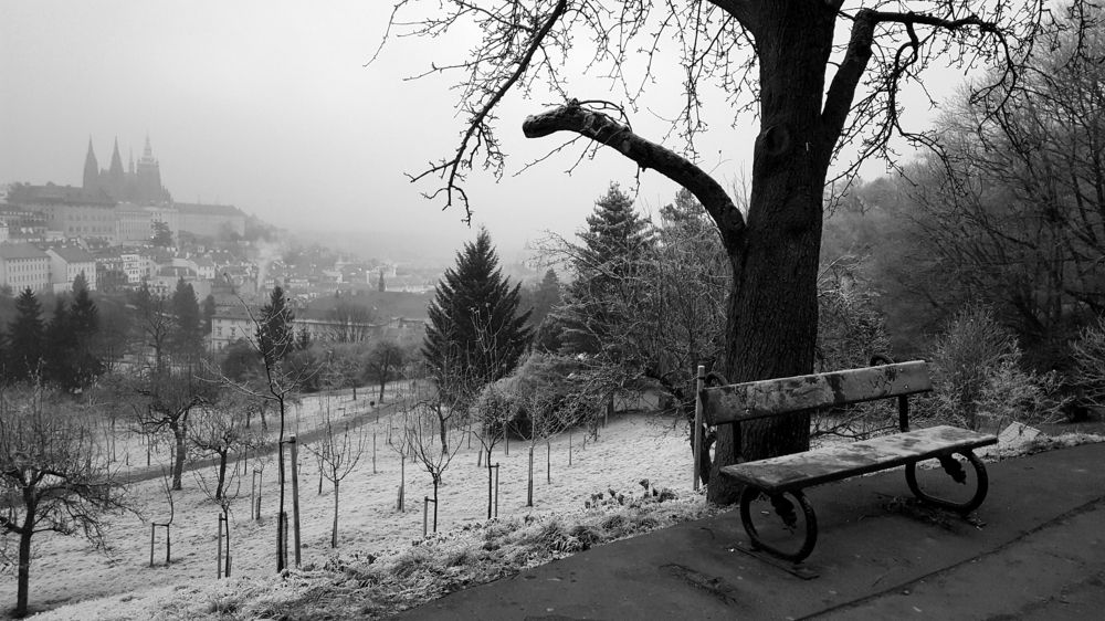 Скамейка с видом на...