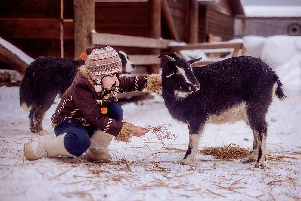 Коза-дереза