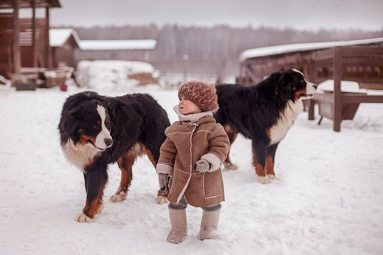 Мы с тобой, малыш