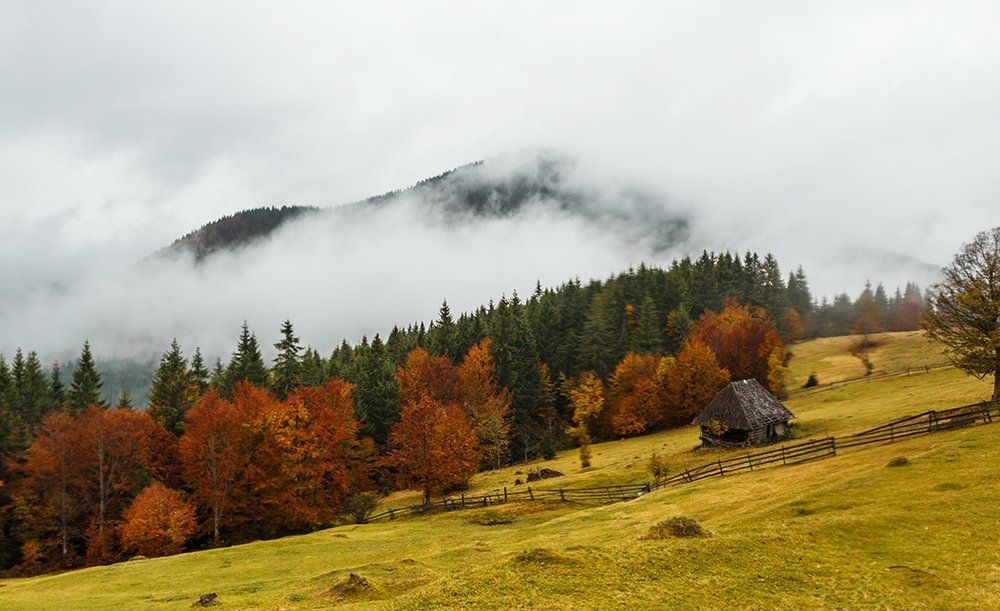 Утренний туман на Буковинке